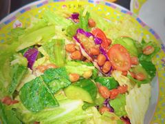 -芦月轩羊蝎子(北蜂窝店)