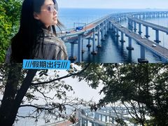 -星海湾跨海大桥