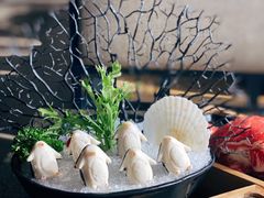 企鹅丸-湊湊火锅·茶憩(和平大悦城店)