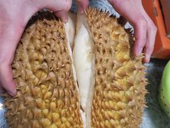 -西郊国际农产品交易中心