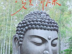 -杭州植物园