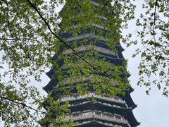 -红梅公园