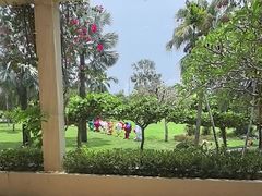 -糟粕醋·椰苑海南菜餐厅(亚龙湾天域酒店)