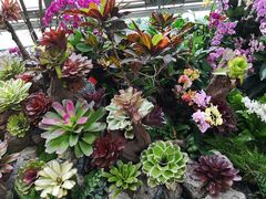 -北京植物园-展览温室