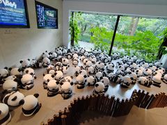 -杭州植物园