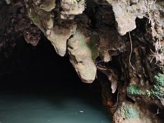 -怀托摩萤火虫洞