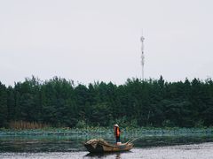 -溱湖国家湿地公园