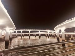 -演武大桥观景平台