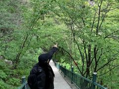 -洛阳白云山景区