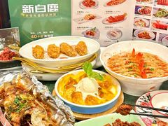 -新白鹿餐厅(城西银泰城店)