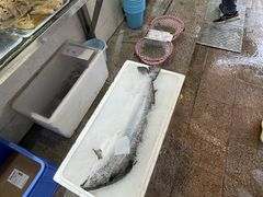 冰鲜整条三文鱼-新享乐海鲜(翠华路店)