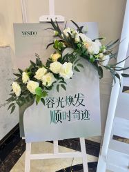 -YESIDO椰岛造型