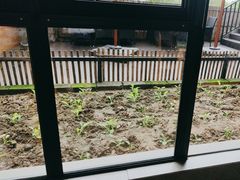 -黄山老妈·土菜(碧桂园店)