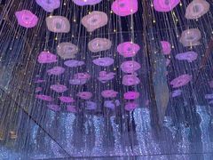 -梵高星空艺术馆(北京旗舰店)