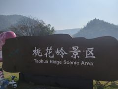 -桃花岭景区