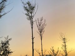 -东澳岛
