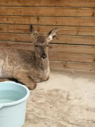 -萌宠亲子动物乐园(槐房万达店)