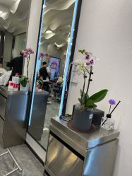 -FASHION PALACE hair+