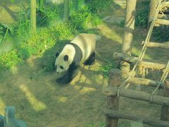 -大连森林动物园