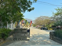 -元江连续刚构世界第一高桥景区