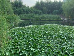 -苏州河梦清园环保主题公园