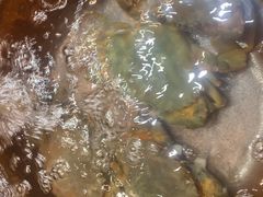 -上名堂·鱼头好吃(体育场路店)