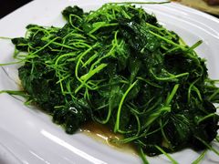 -协和菜馆(凤凰街店)