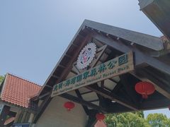 -上海海湾国家森林公园