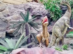 -国家自然博物馆