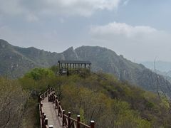 -大岭沟猕猴桃谷风景区