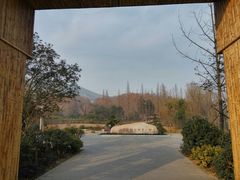 -习家池