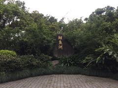 -福建鲤鱼洲酒店
