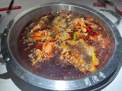 红锅锅底-蜀滋香鲜鱼美蛙火锅(339店)