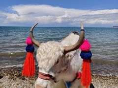 -青海湖国家重点风景名胜区