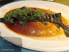 清蒸中华鲟-满汉楼(江畔店)