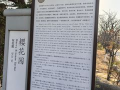 -八大山人梅湖景区