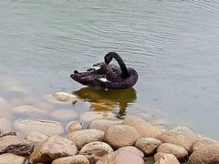 -鄱阳湖国家湿地公园