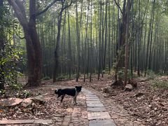 -虞山风景区