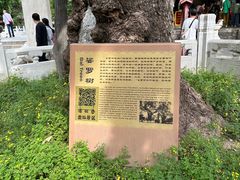-潭柘寺景区