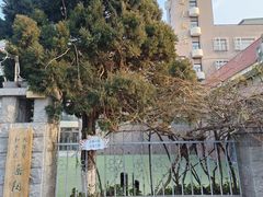 -岳阳道小学(大理道校区)