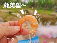 -蚝英雄鲜蚝自助专门店(长楹天街直营店)