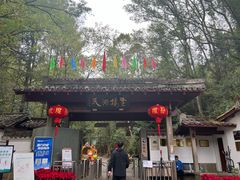 -灵栖洞天