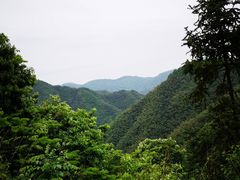 -鹿亭中村