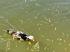 -西安汉城湖景区