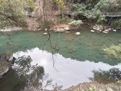 -石台牯牛降景区