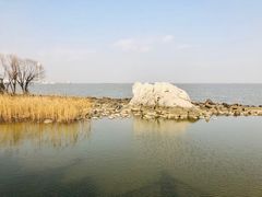 -上海吴淞炮台湾国家湿地公园