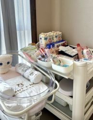 -英芬国际月子中心(岛屿度假月子·洲至奢选香岚店)