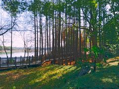 -东湖落雁景区