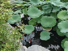 -近春园遗址