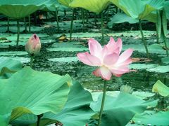 -承德避暑山庄景区